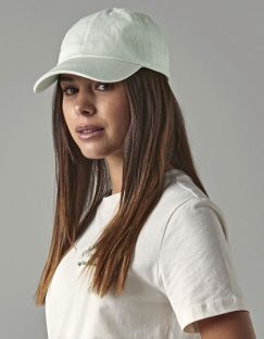 Low Profile 6 Panel Dad Cap