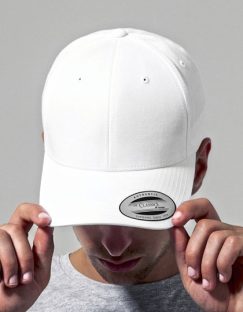 Curved Classic Snapback