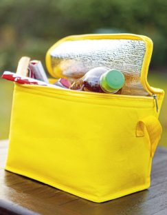 Cooler Bag Celsius
