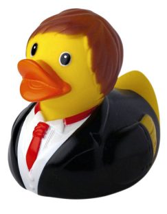 Schnabels® Squeaky Duck Groom