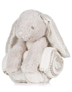 Rabbit And Blanket