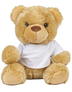 Bear In T-Shirt