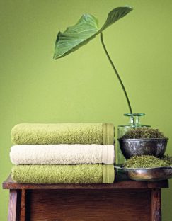 Vegan Life Bath Towel