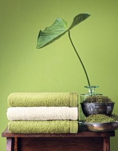 Vegan Life Hand Towel